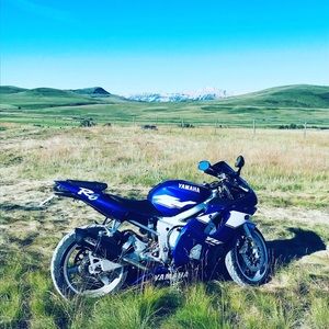 Meet your Posher, Michele